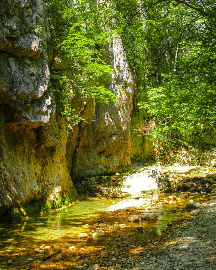 Canyon