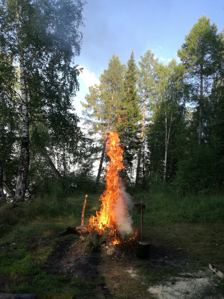 костер в лесу.