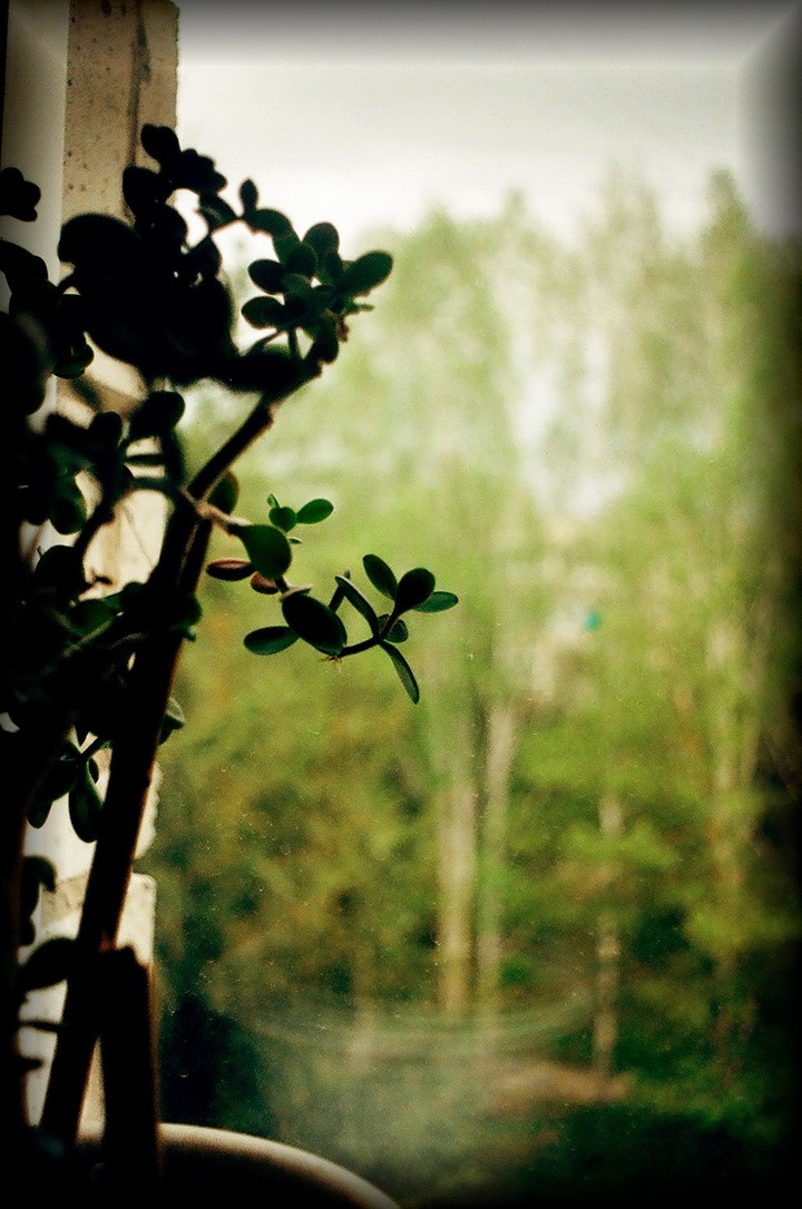 into the window