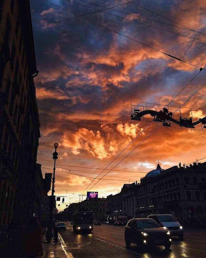 розовый закат