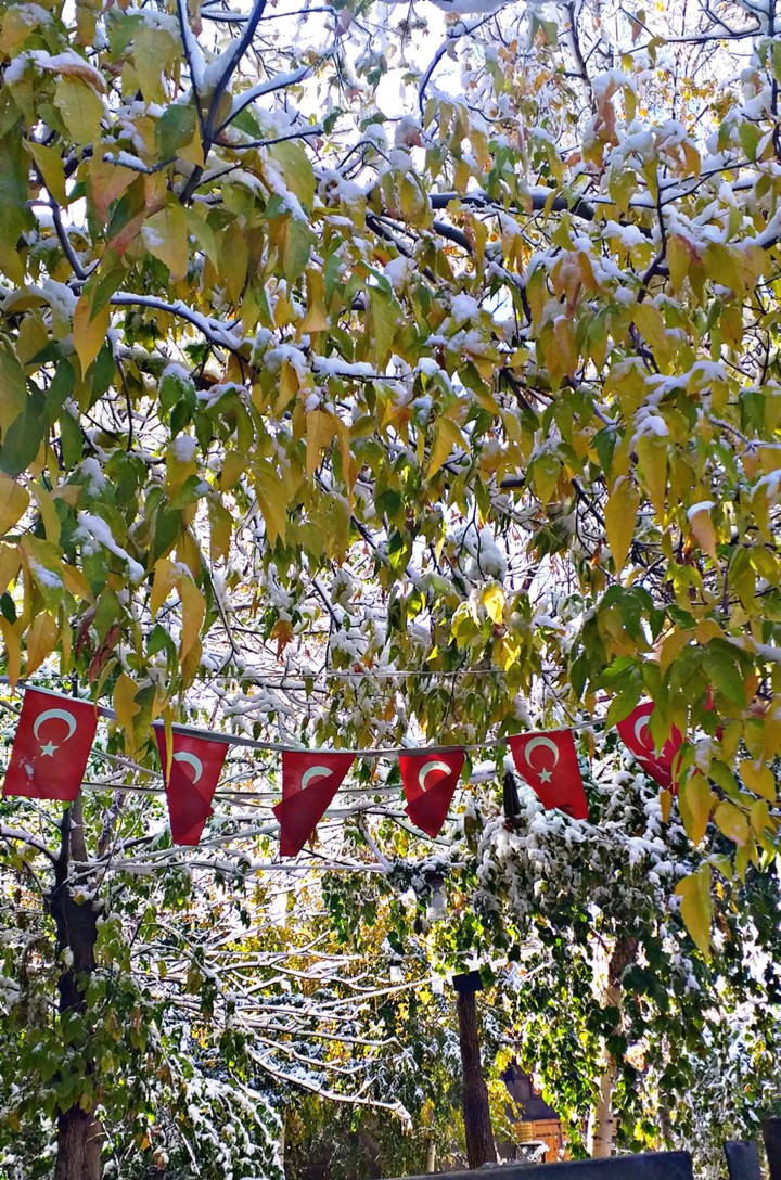 kış