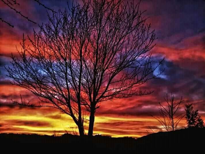 nature is beautiful