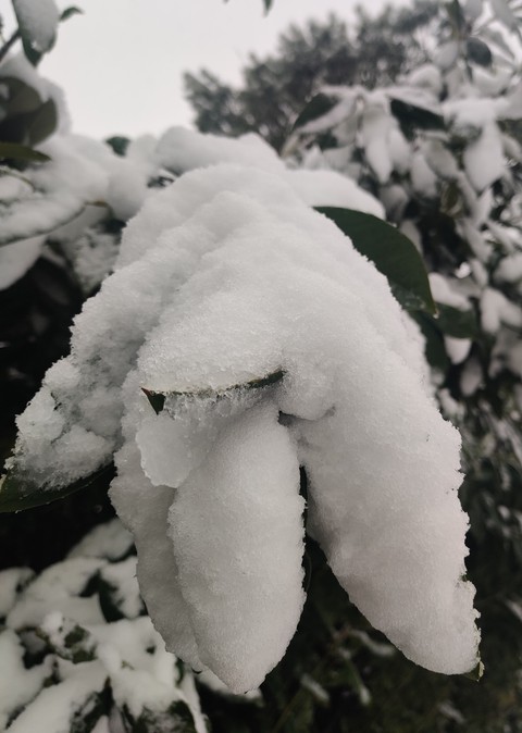 inverno