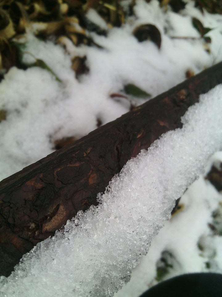 Snow