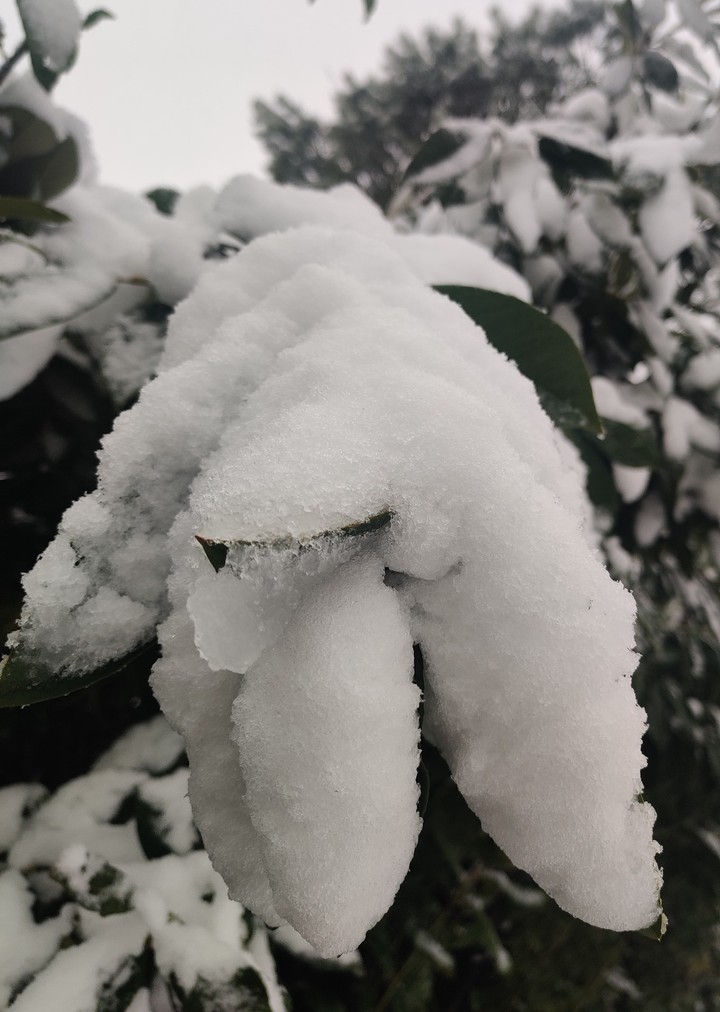 inverno