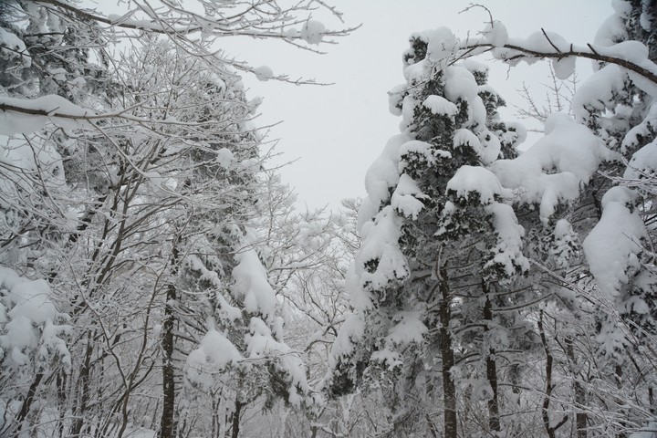 태백산이미지