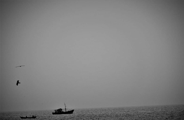A boat in the sea