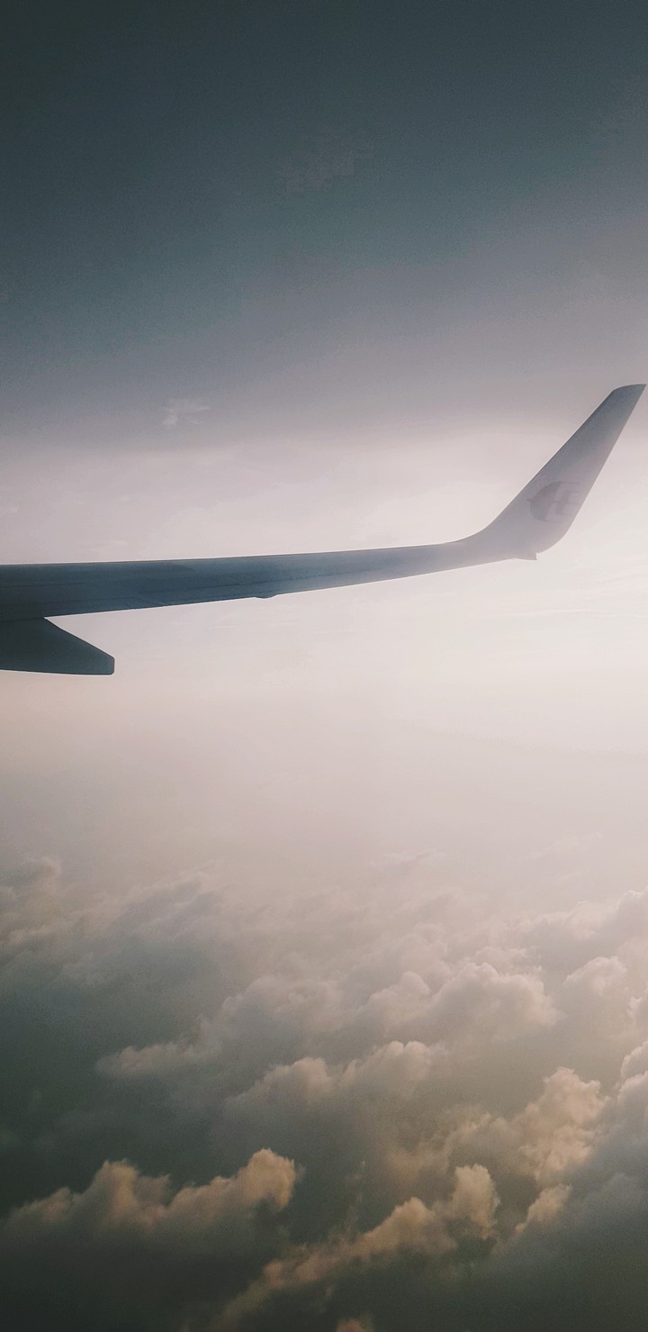 flying high.