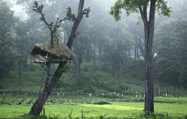 hut