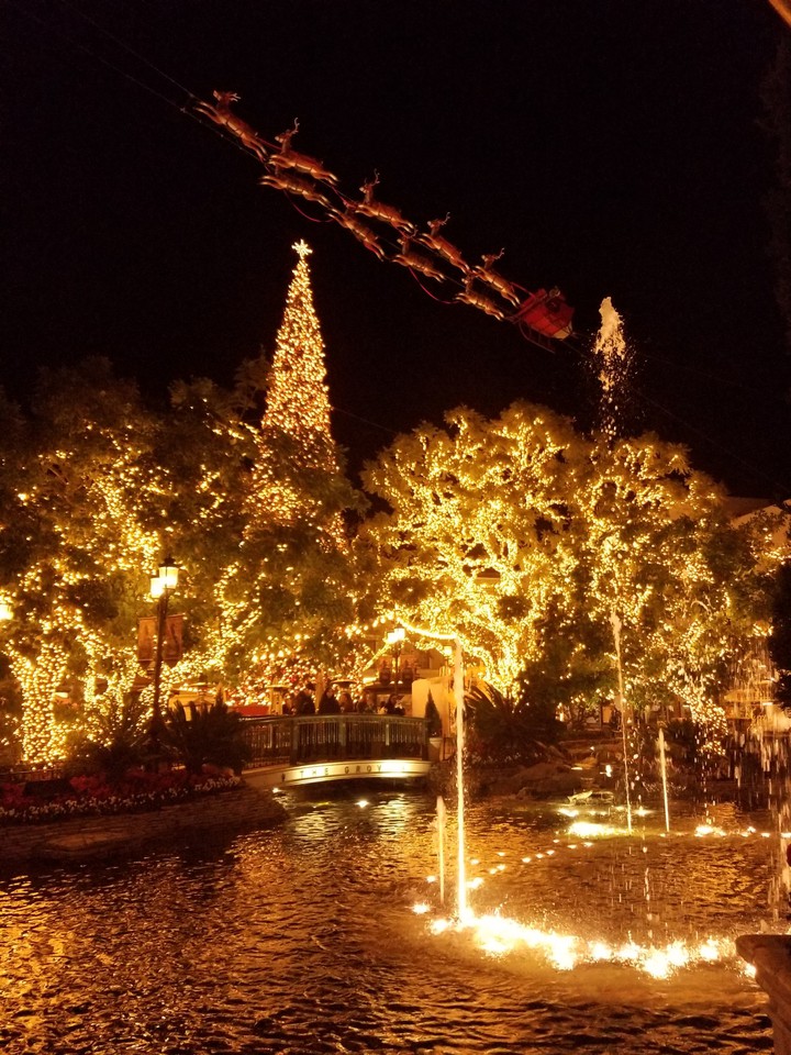 Christmas lights