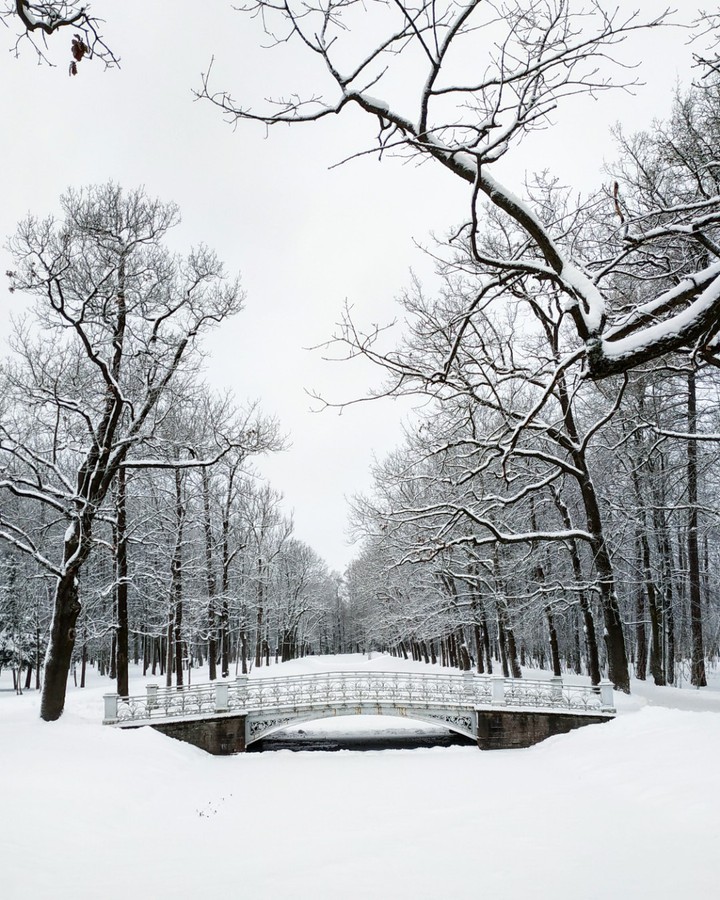 snow