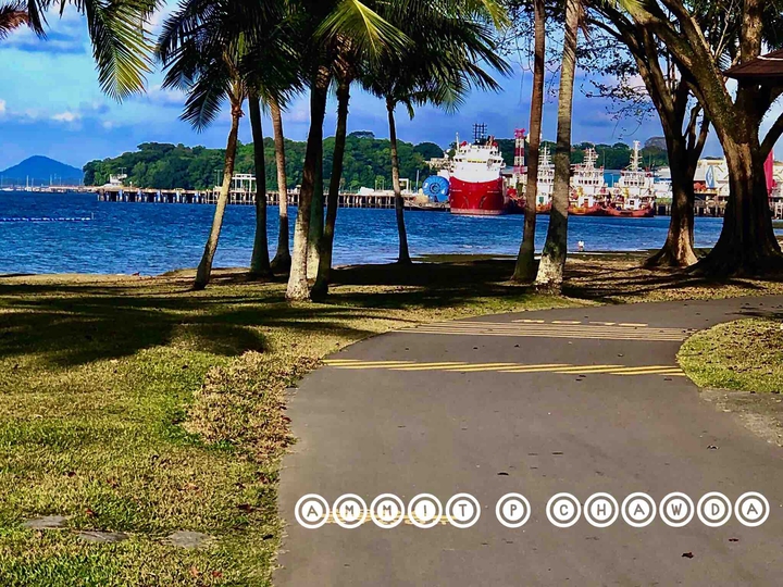 Beach and Ships
