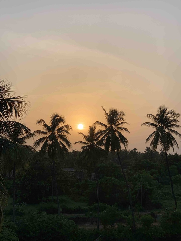 sunset