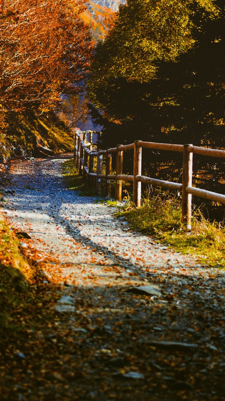 road