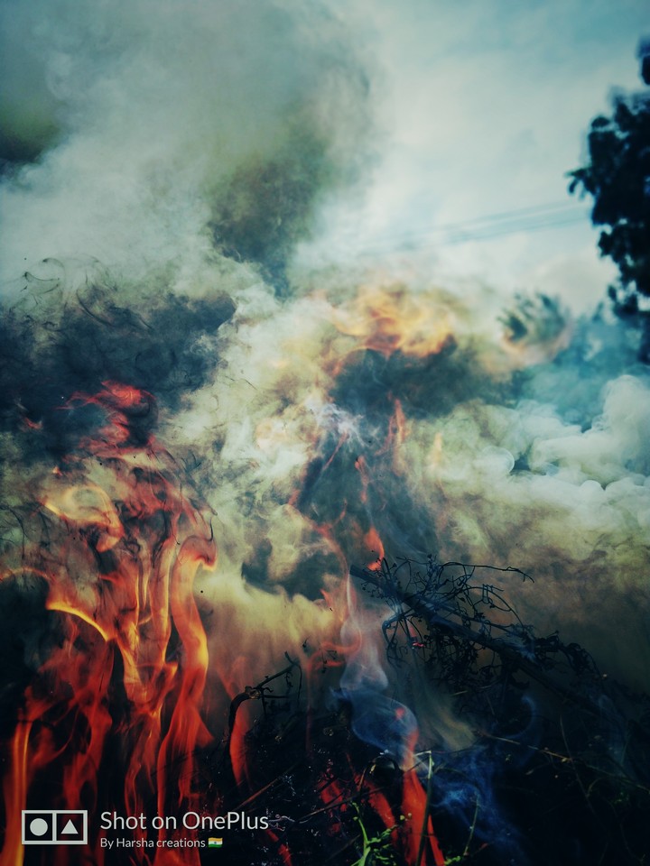 fire