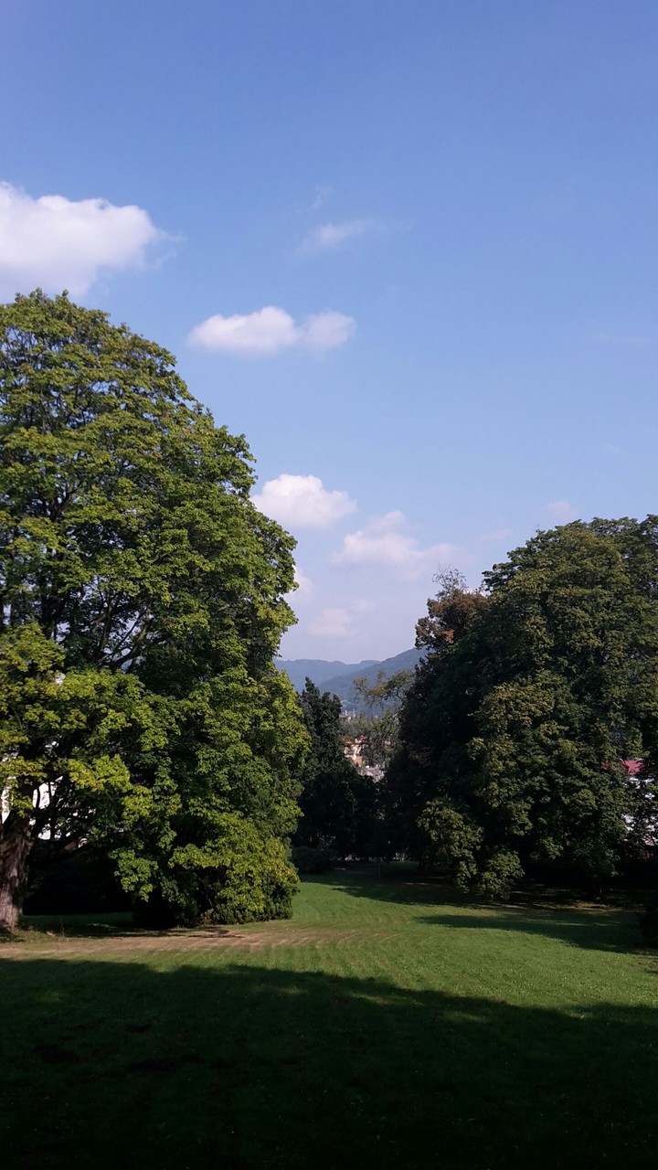 park2