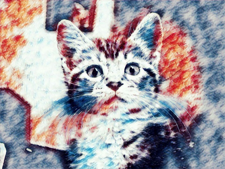 Motion Cat Fix