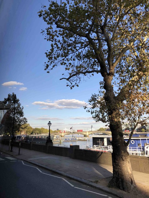 Calming view of London city
