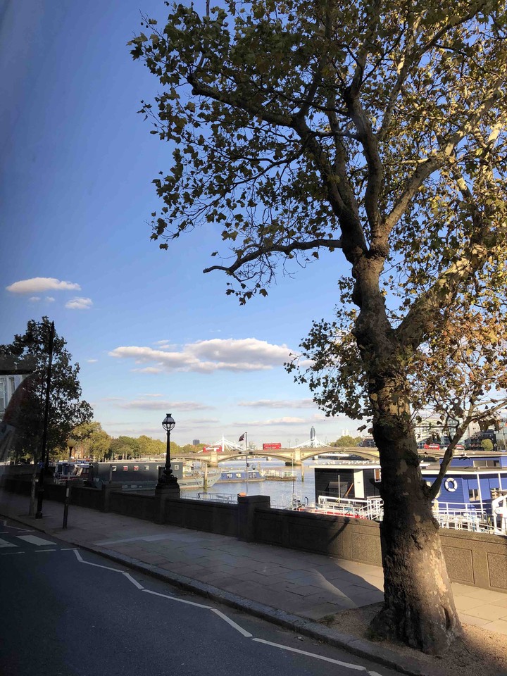 Calming view of London city
