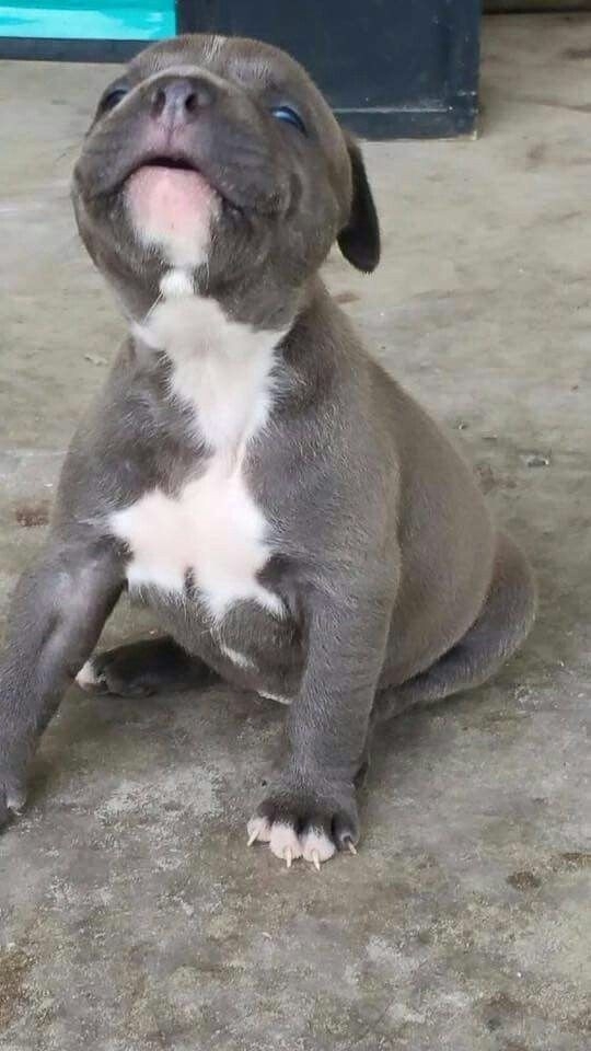 ♥️♥️♥️