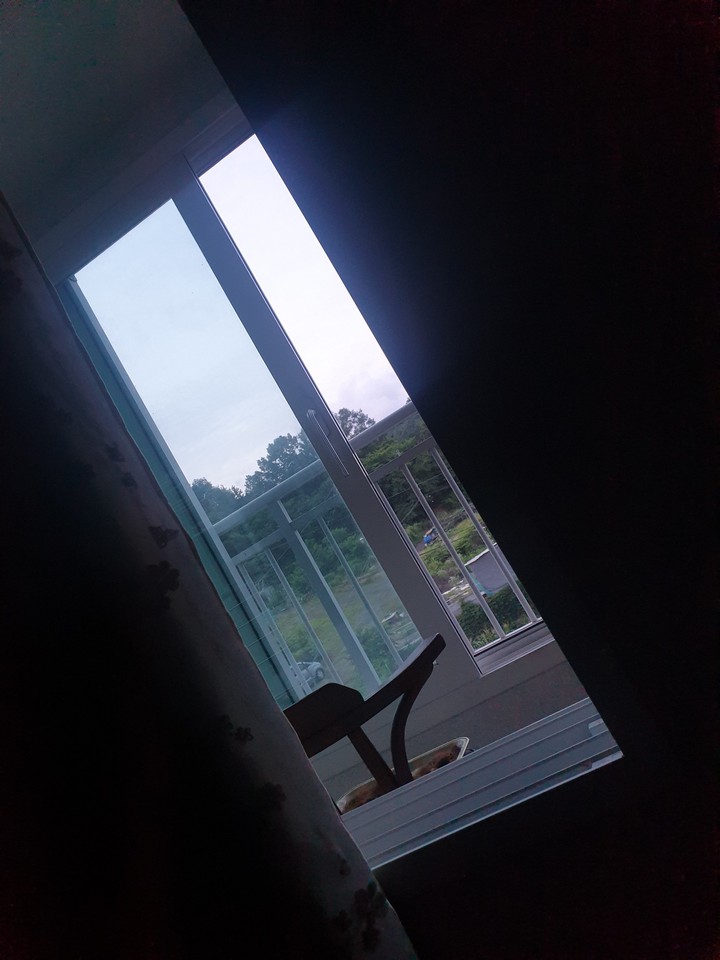 오늘