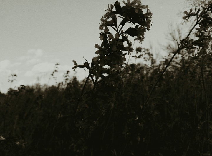 loneliness