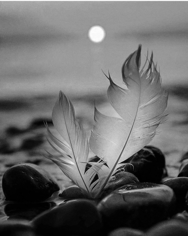 peace