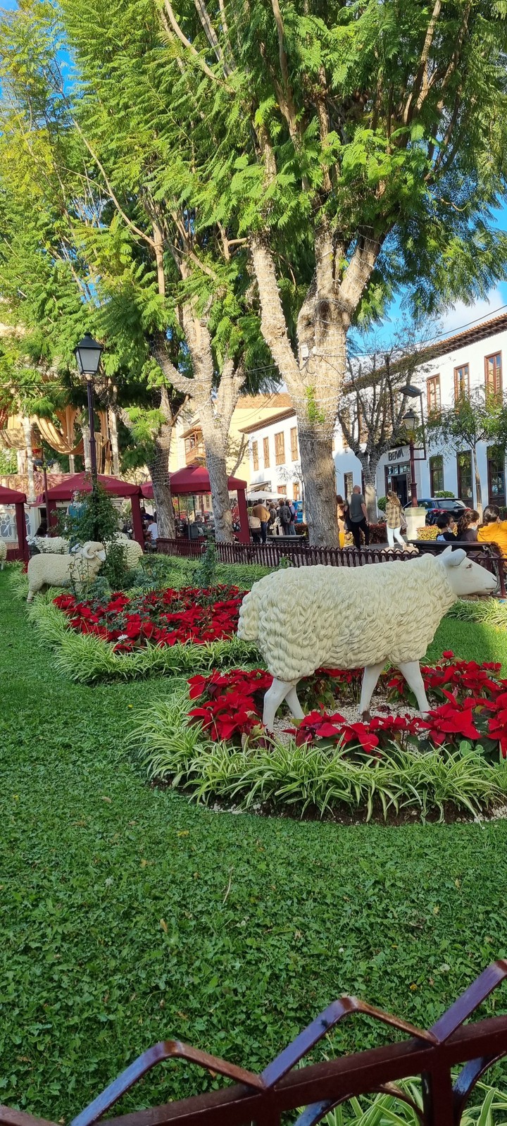 Navidad