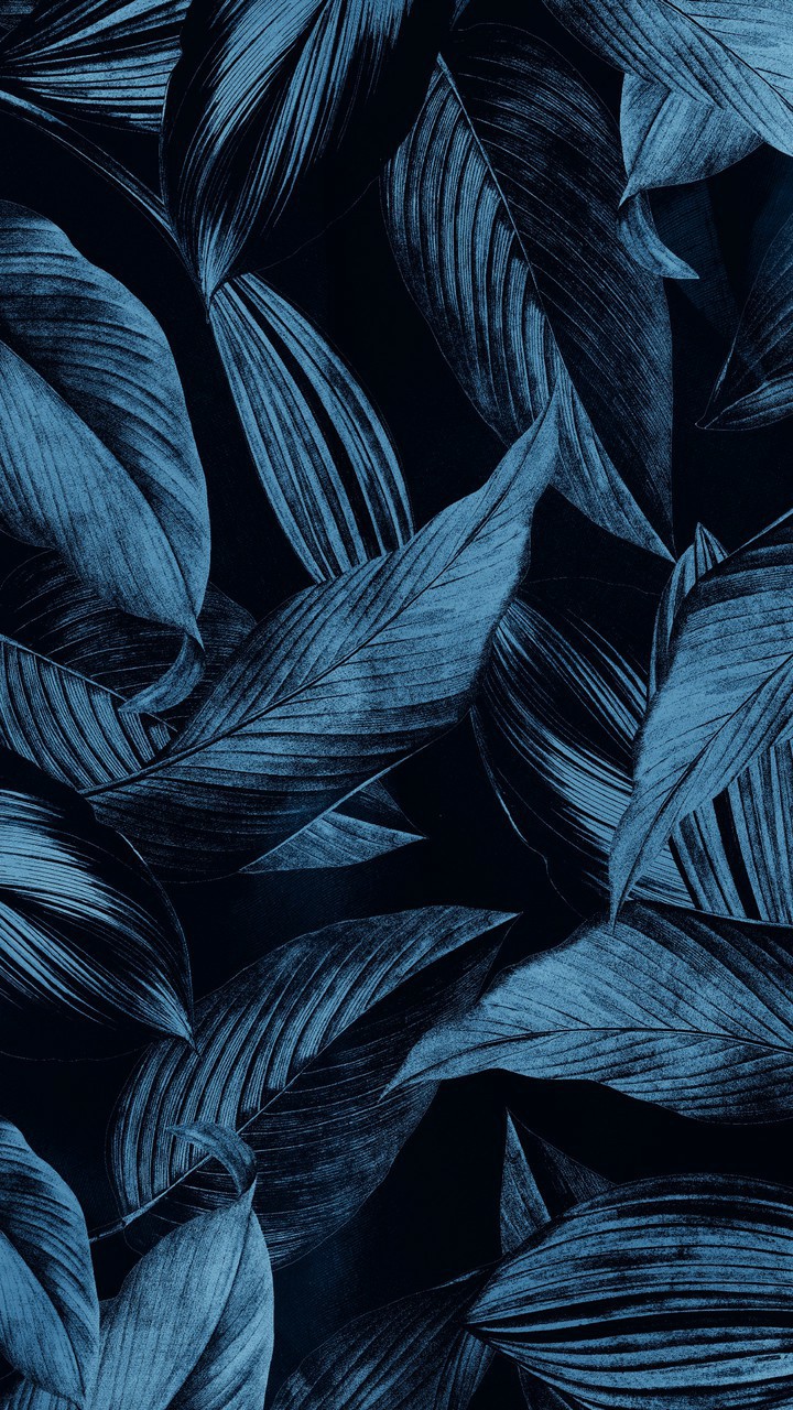 Blue Leave