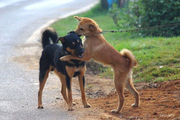 friendship