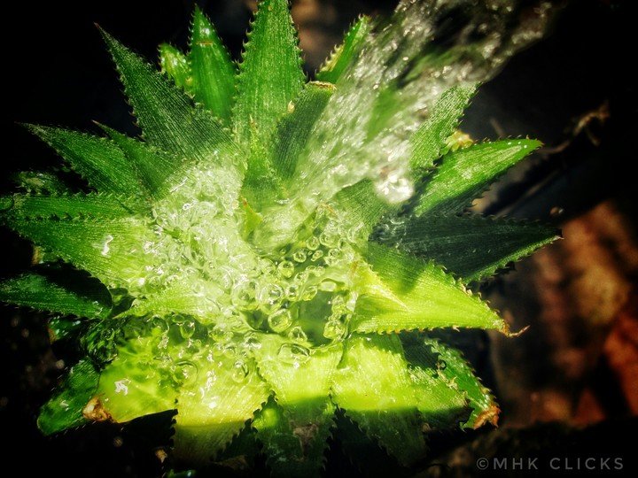 save water