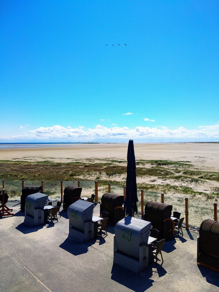 Insel Amrum Wattenmeer