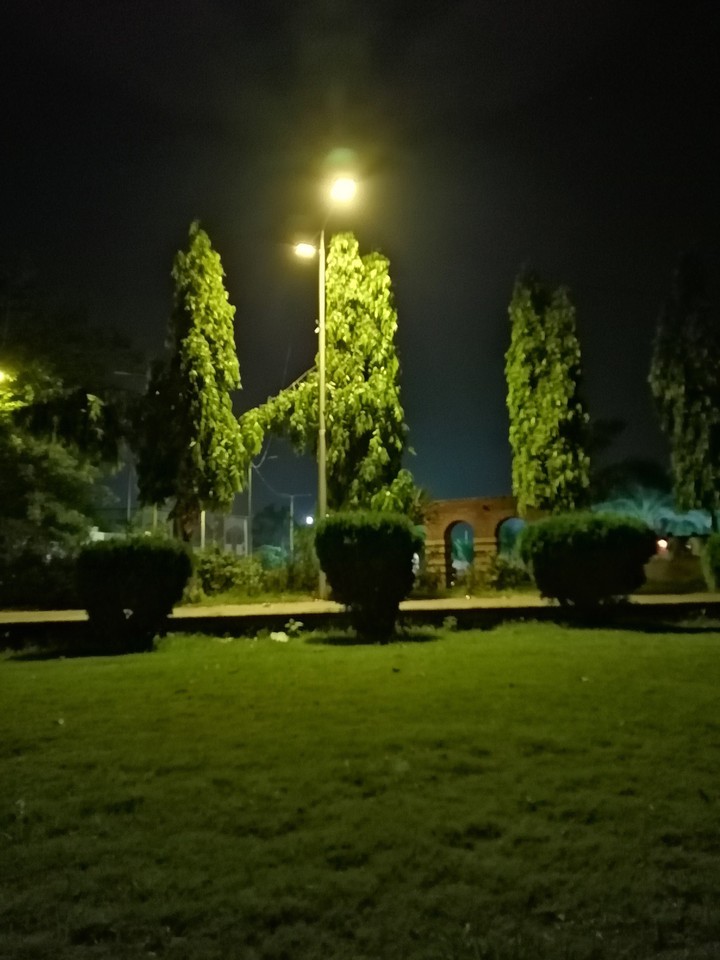 night