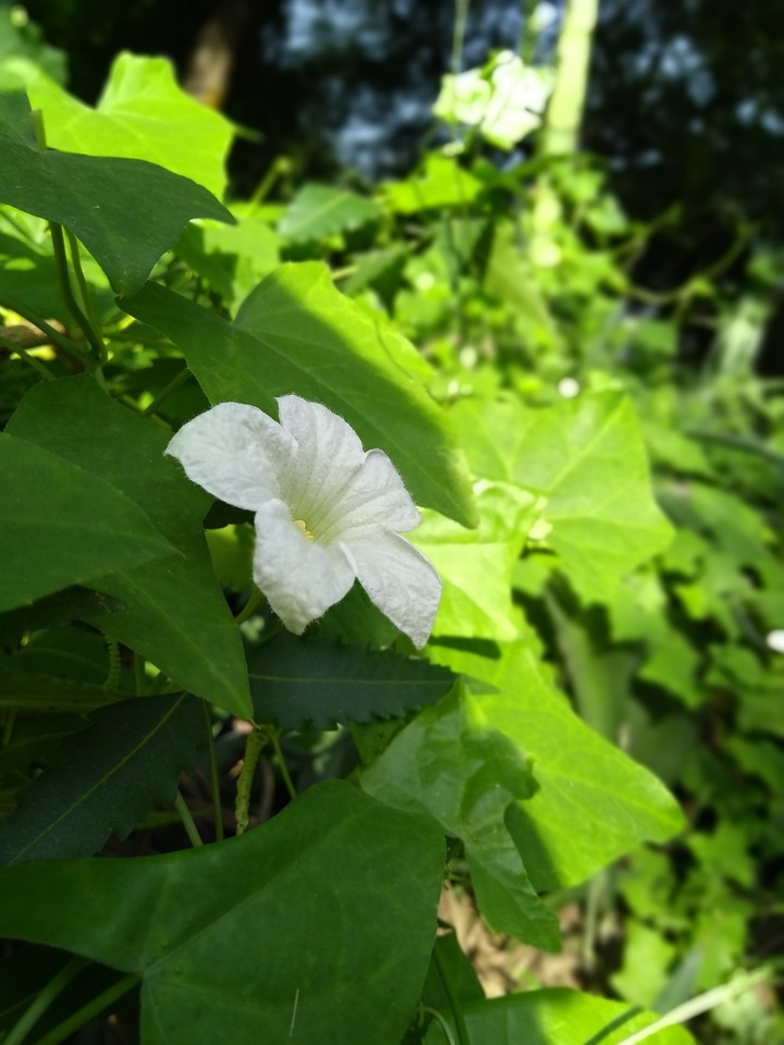 beauty_of_nature
