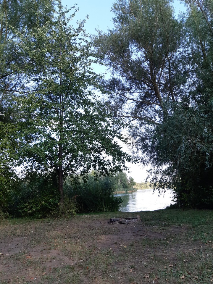 At the See
