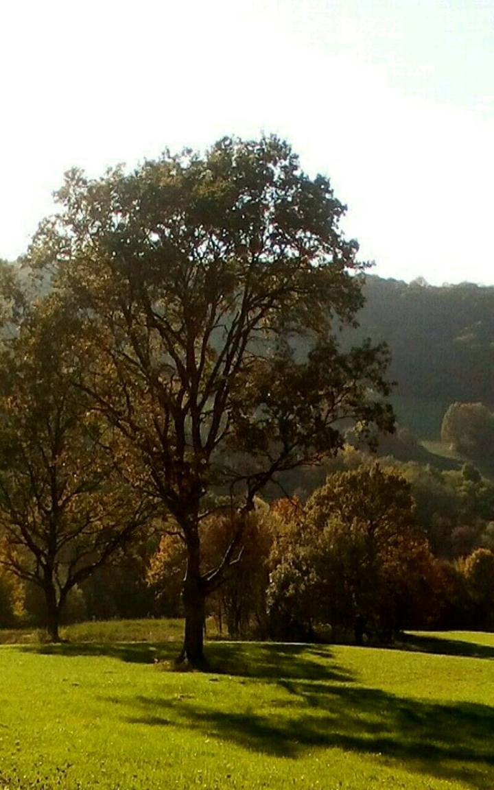 green contryside