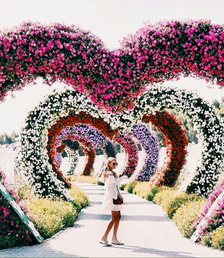 Exciting hearts 