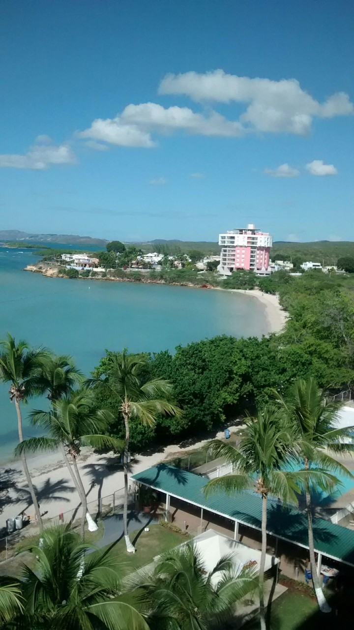 nice view