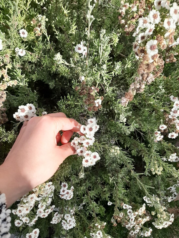 just nature