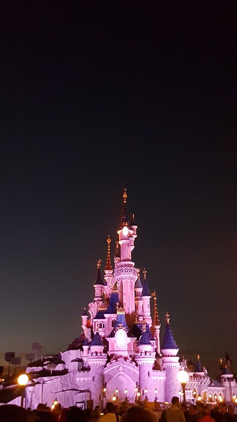 Disney Castle