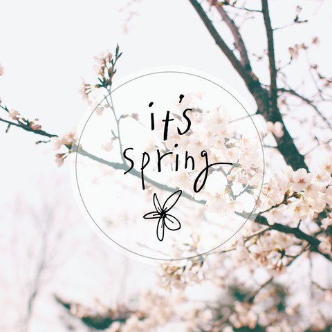It's Spring