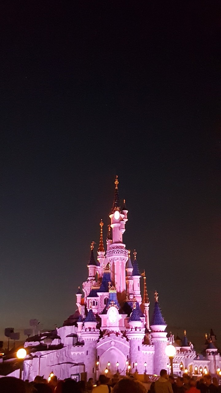Disney Castle