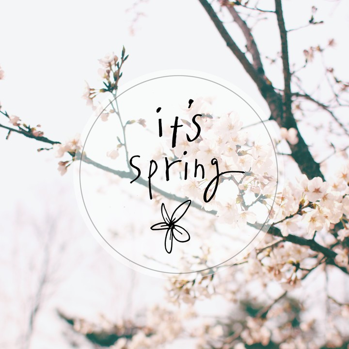 It's Spring