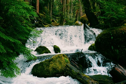 rushing stream