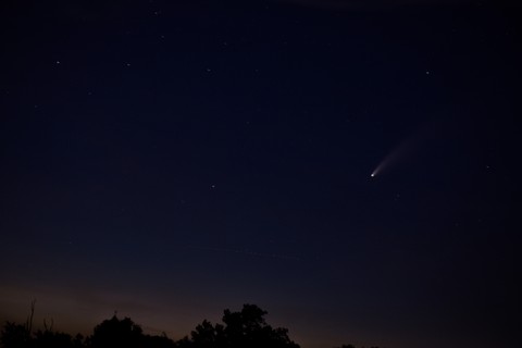 Neowise Comet