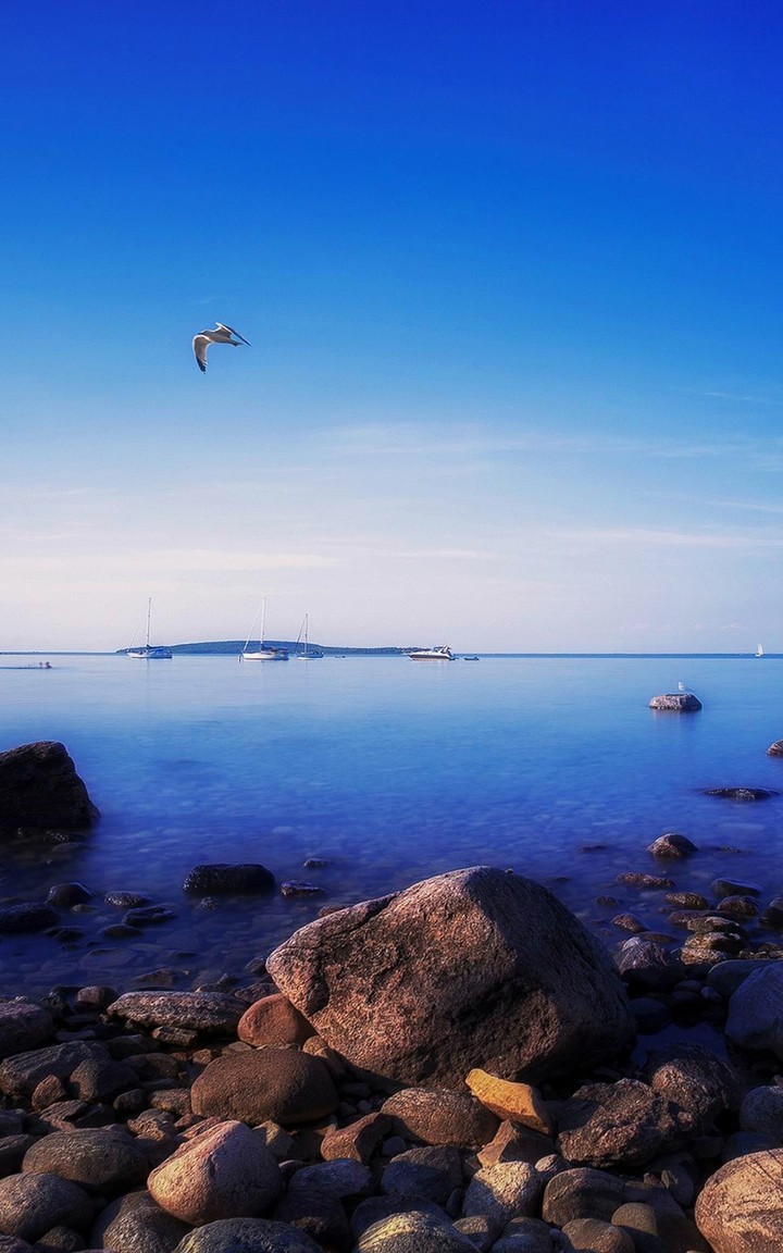 sea