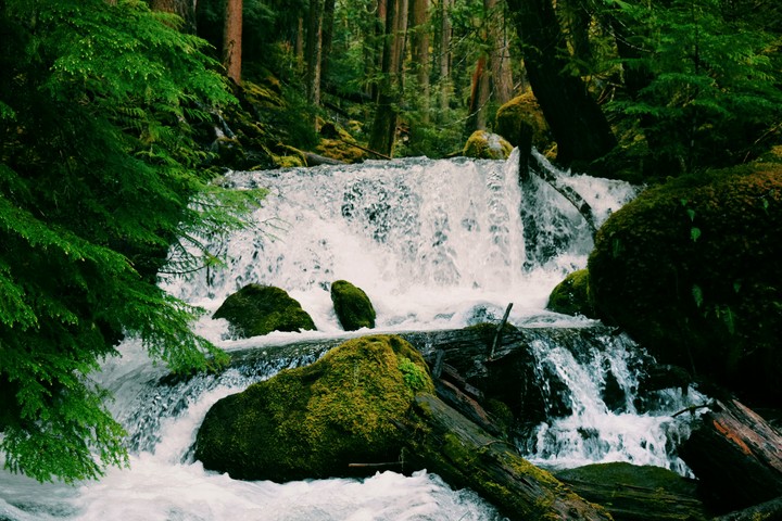 rushing stream