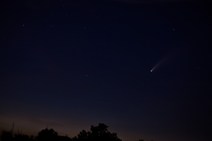 Neowise Comet