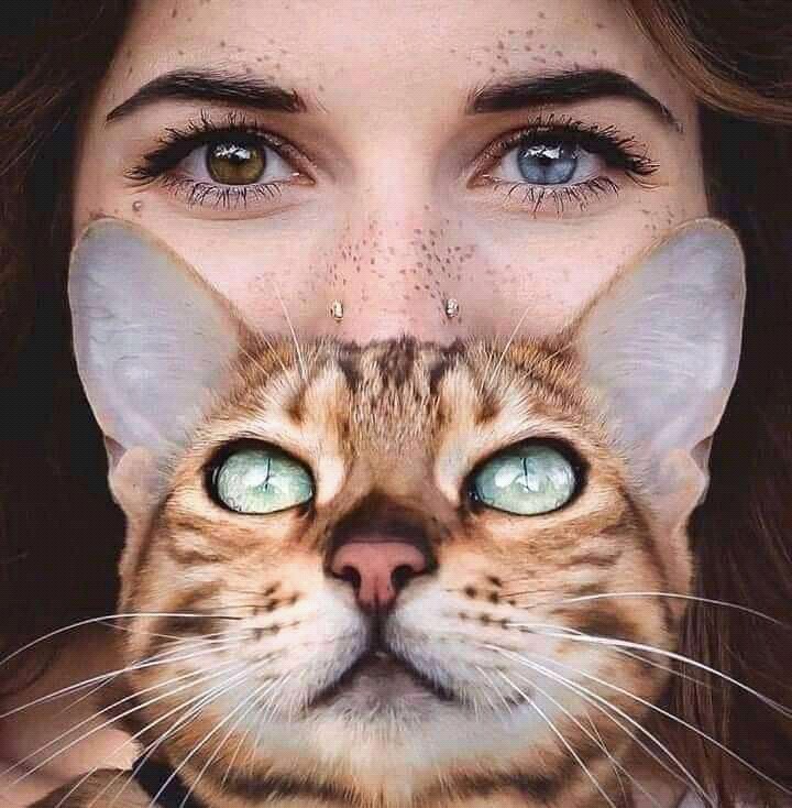 eyes