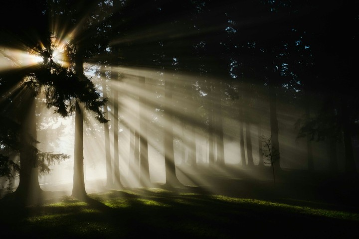 morning sunrays